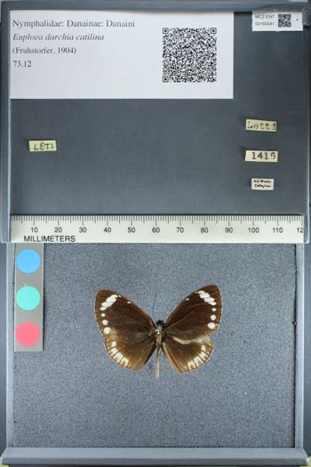 Media type: image;   Entomology 160341